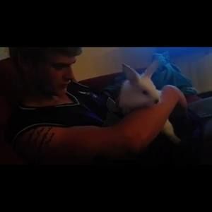 Meet your Posher, Franklin